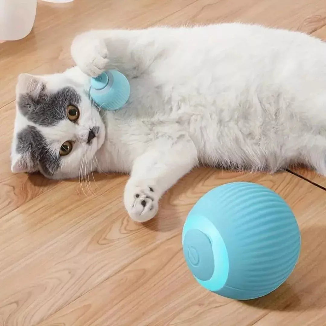 Pelota para Mascota interactiva